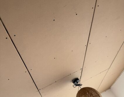 Op maat gemaakt plafond